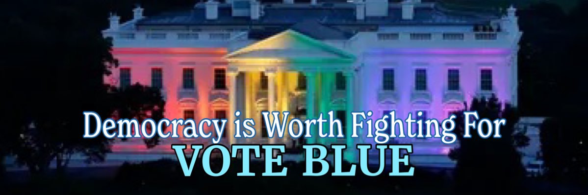 𝐅𝐨𝐱𝐲 💔🇺🇸 🟦 SAVE DEMOCRACY banner