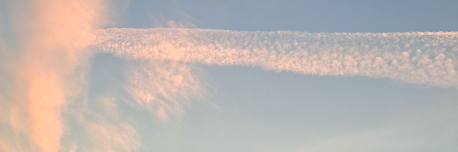 MT-Yes banner