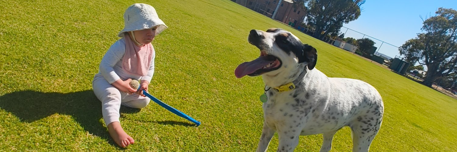 Seb Goldsmith banner