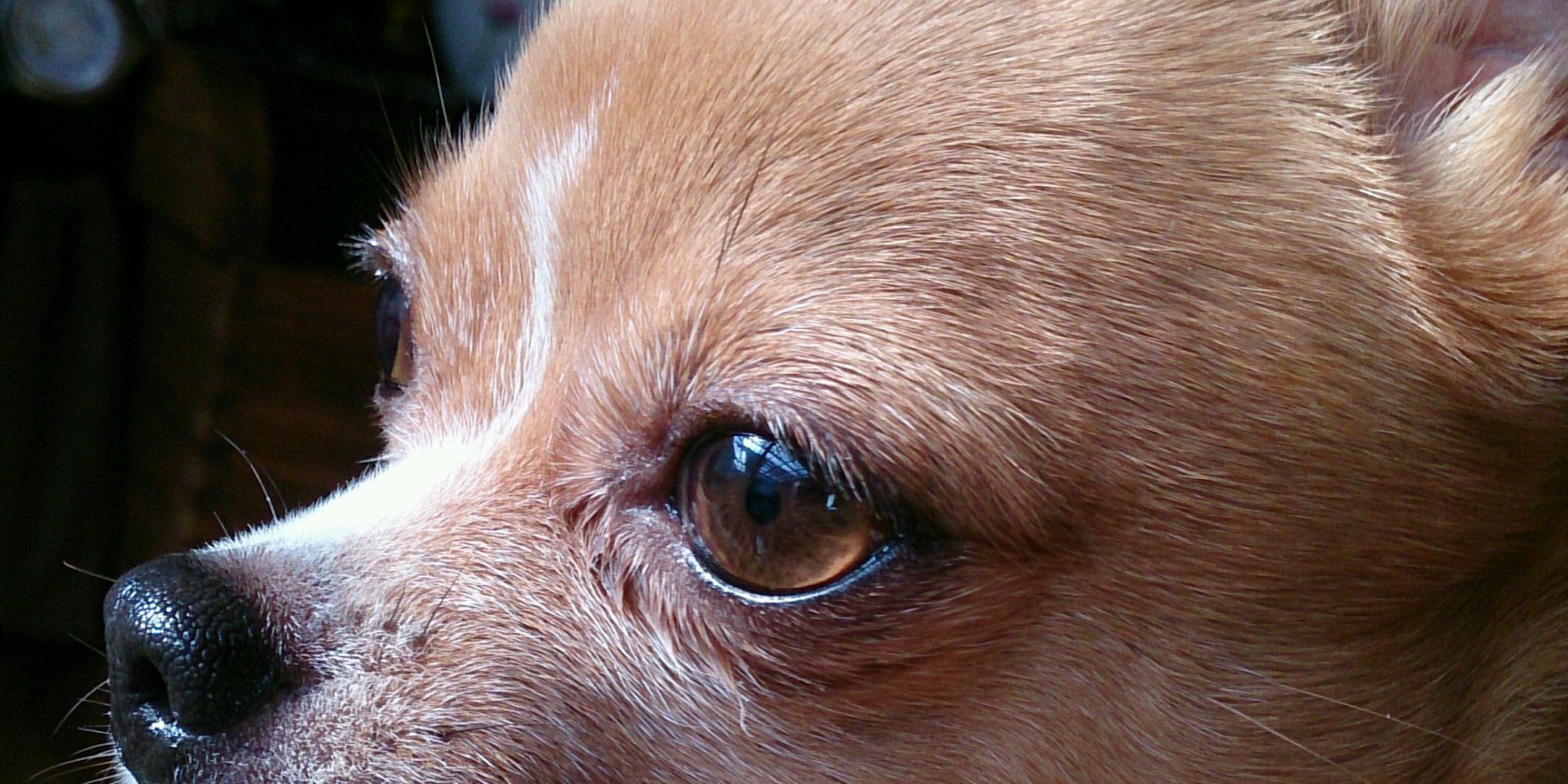 anker43's profile banner image