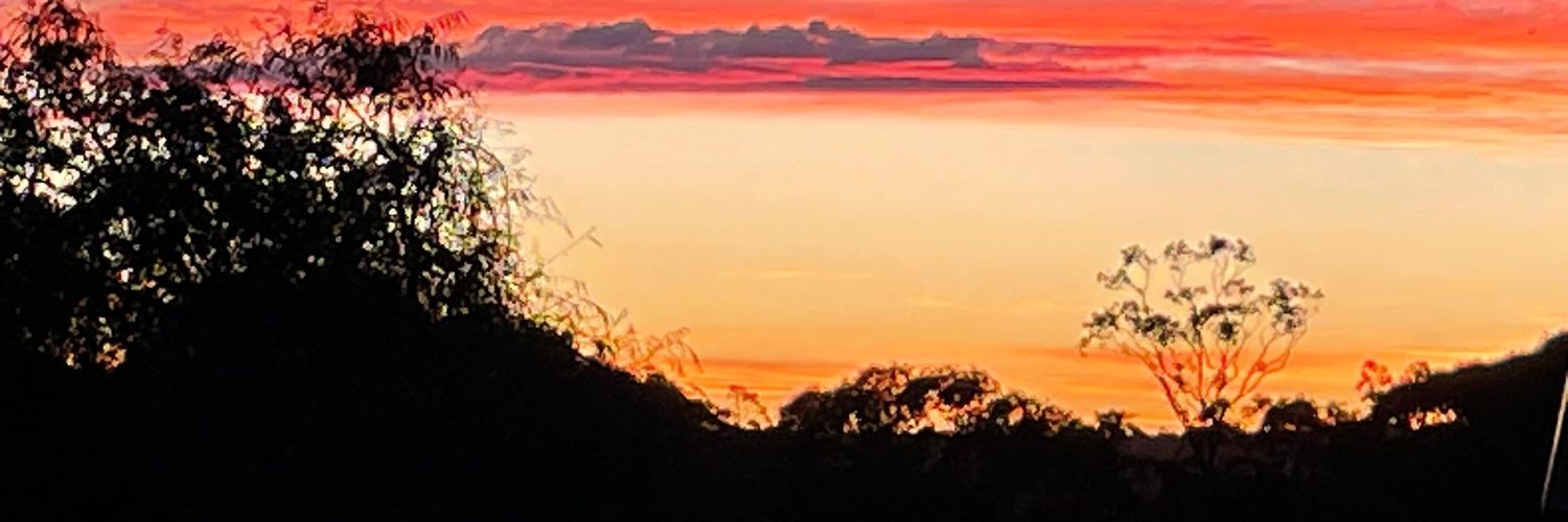 ICAPOD's profile banner image