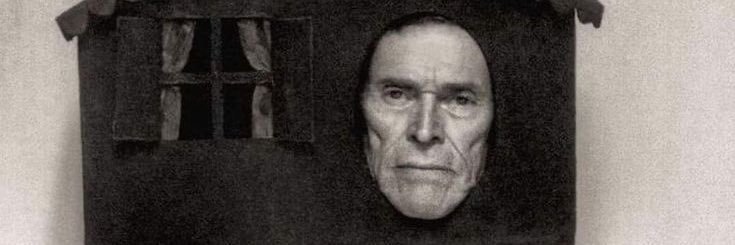 bearlusconi 🚬 banner