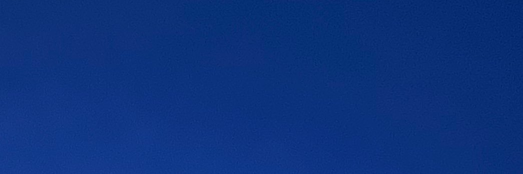 콩 banner