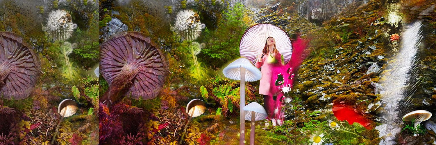 CLAIR 🎵🍄🌈🌿✨️ banner