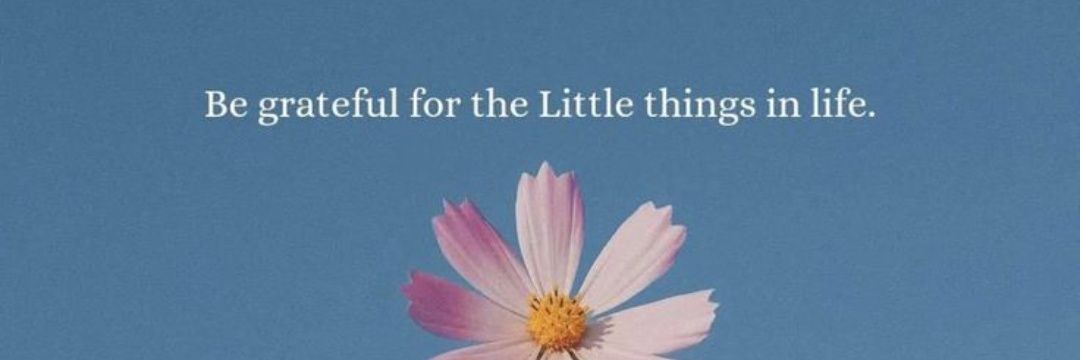 Saith Muhammad Ameer Moawia (MAM) banner