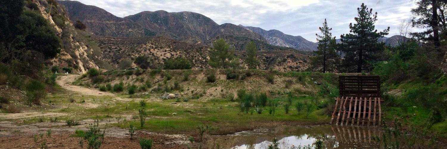 Meghan Fitzmartin banner