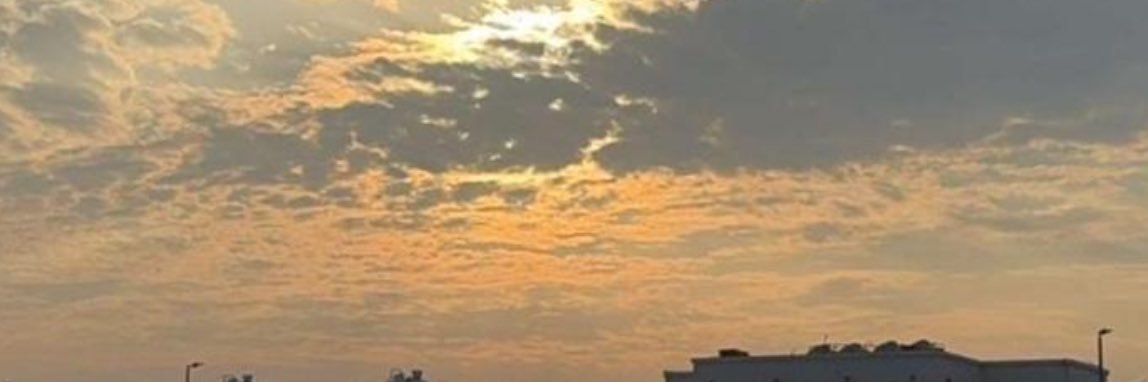 𝑟𝑜𝑠𝑒 🌷 banner