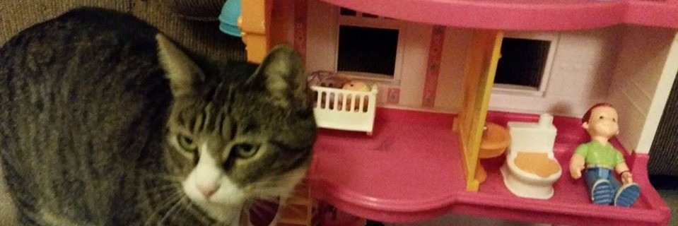 laraintexas's profile banner image