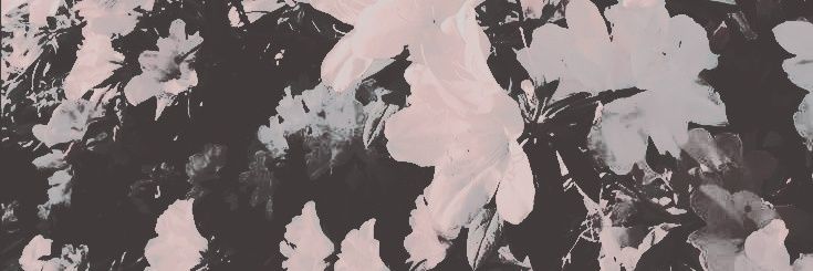 ‍ ‍ ‍ 𝑫𝖎v̶𝖎n̶є 𝕯𝚎̶𝖑u̶𝖌є ‍ ‍ ‍ banner