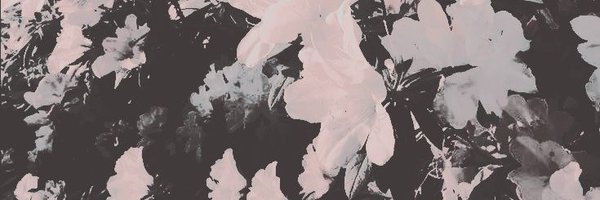 KTOYESTBOHG Profile Banner