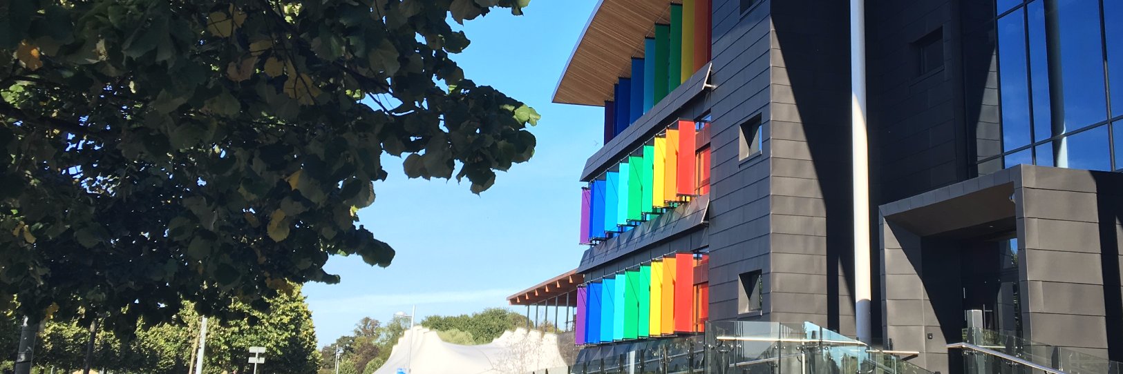 Robert Trezona banner