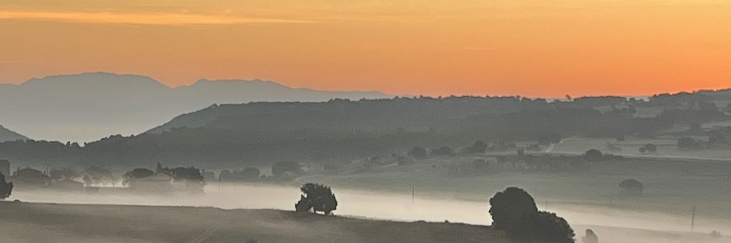 muletmerce's profile banner image