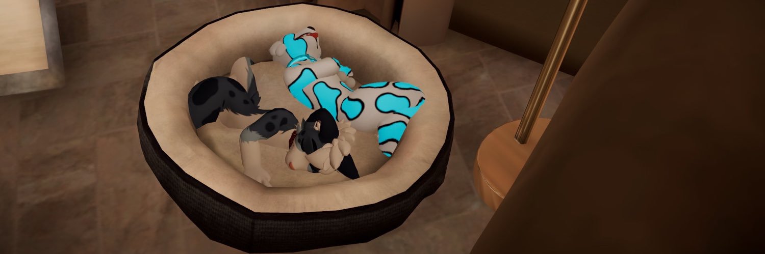 Milo The Chaos Husky's banner