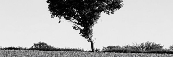 AJWShaughnessy Profile Banner