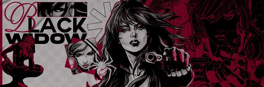 n. romɑnoff ⧗ banner