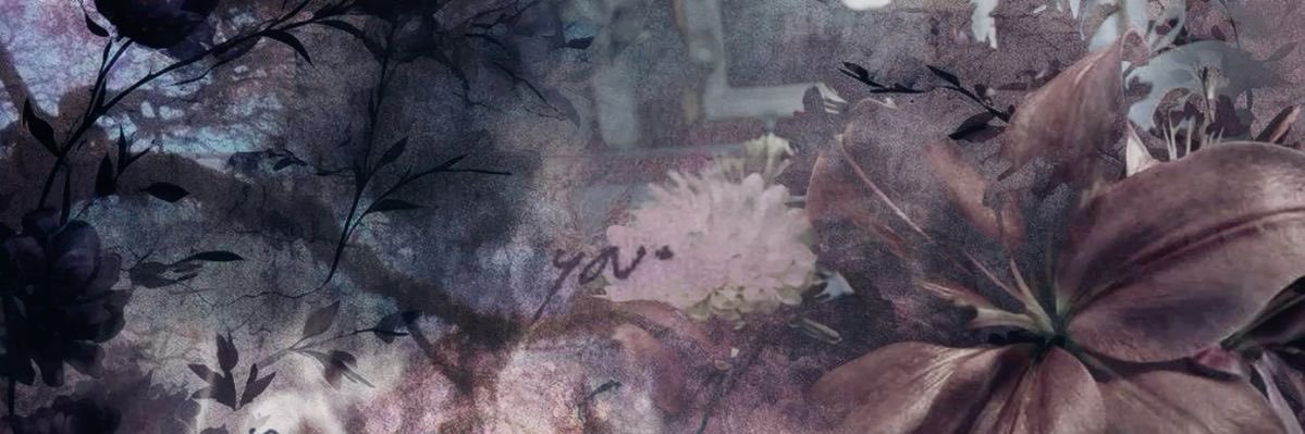 willow💿 banner