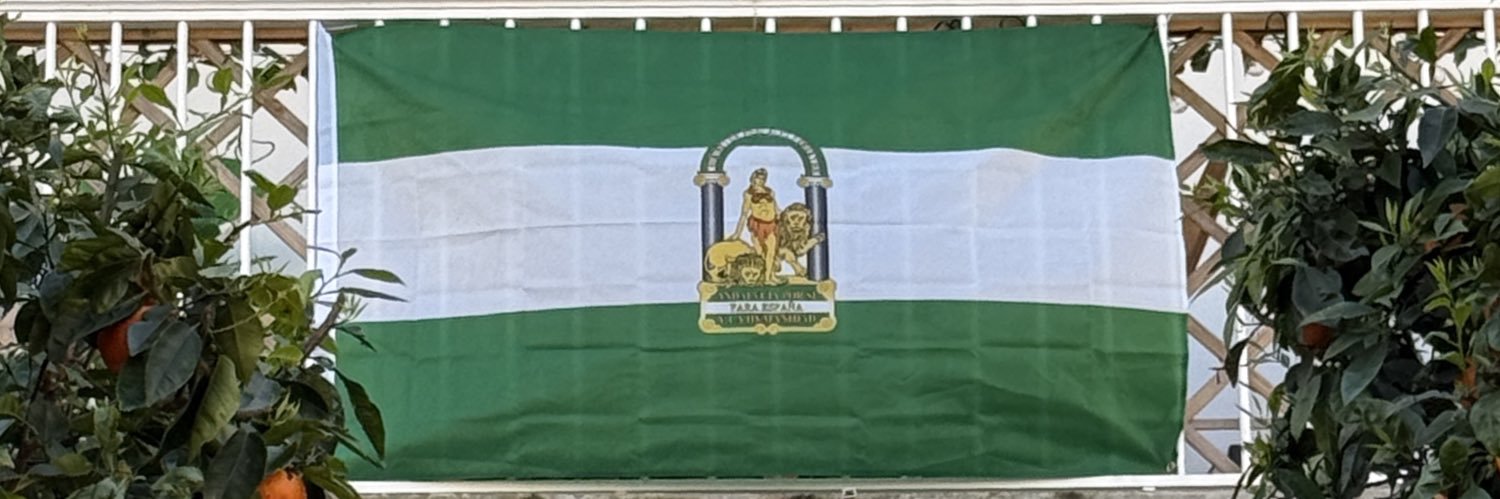 Javi AV 💚🤍💚🇵🇸 banner