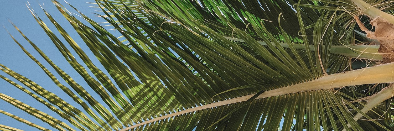 iamjfoster's profile banner image