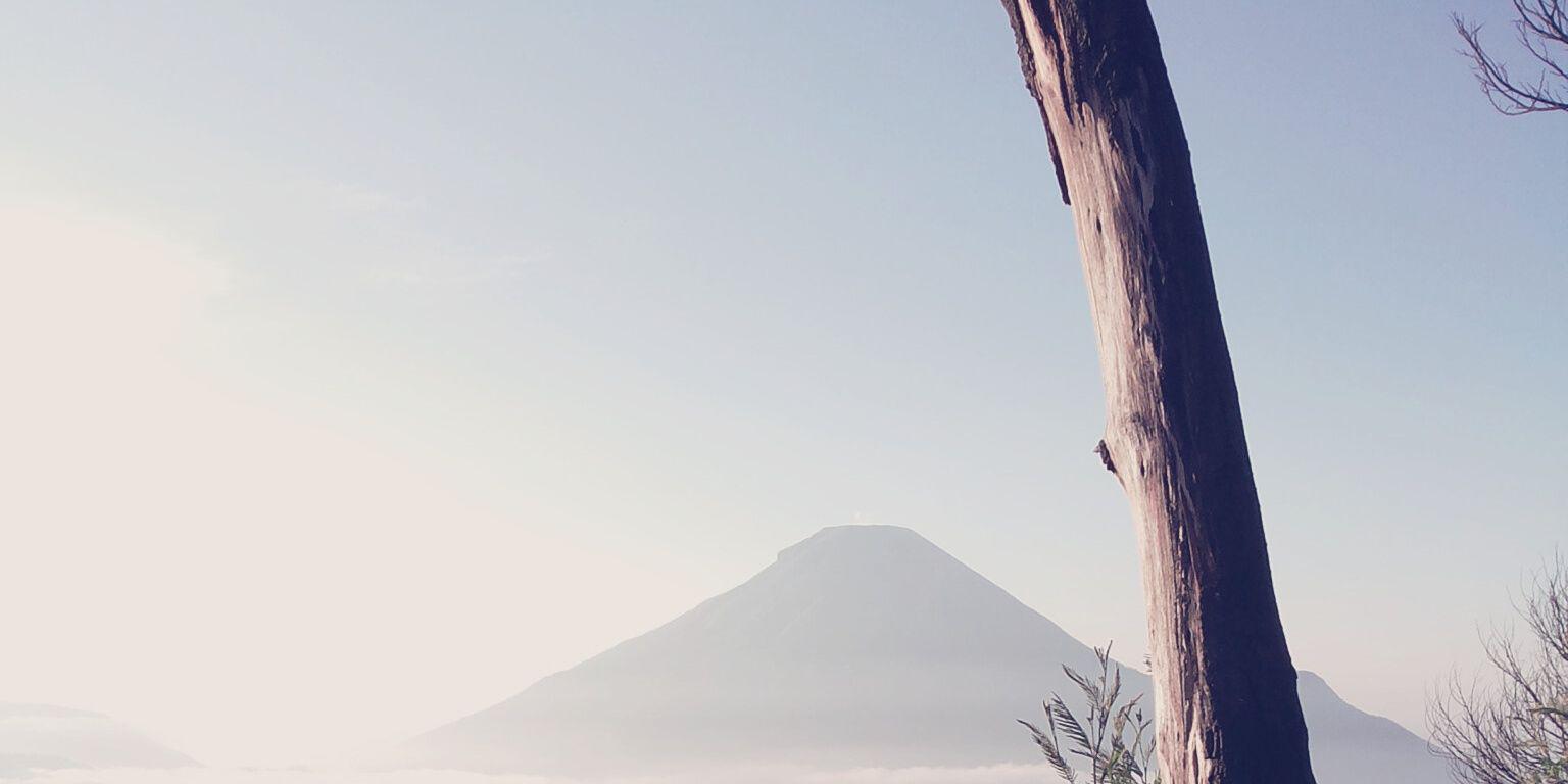 ronggorangga's profile banner image
