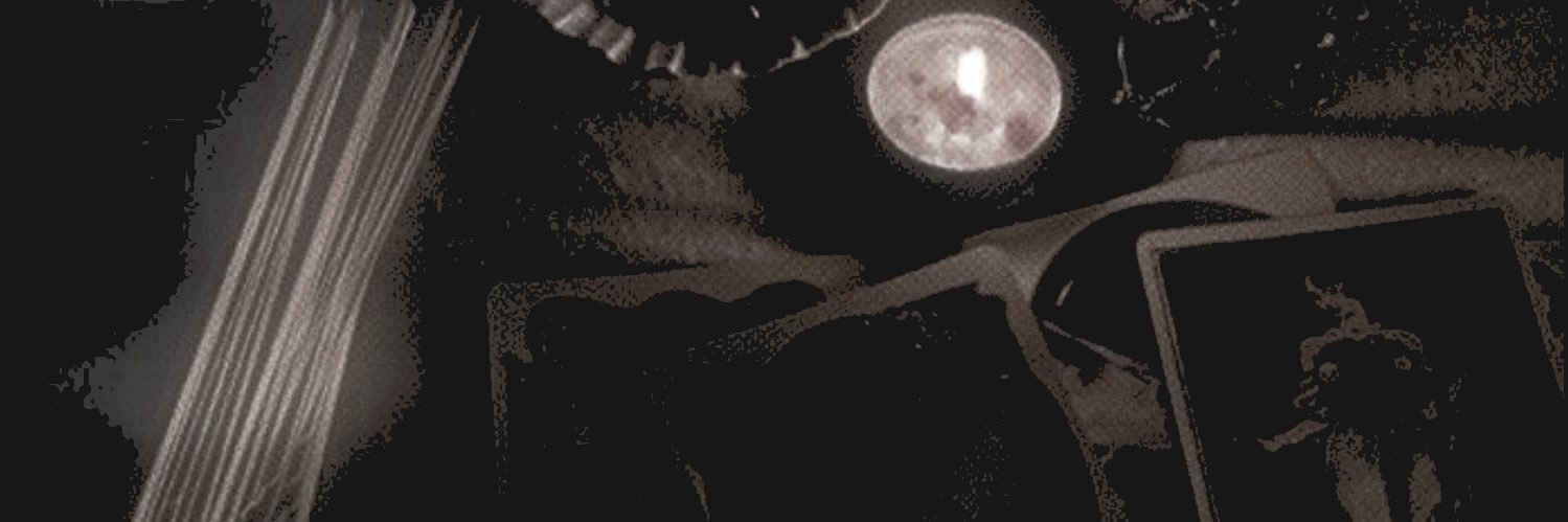 ‍‍‍‍* ‍‍𝙰𝘔𝙴𝚁𝙸𝙲𝙰. banner
