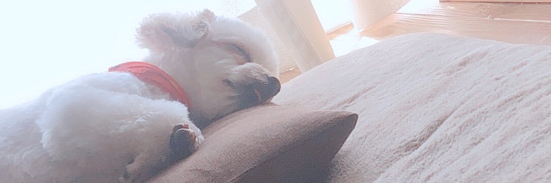 manjuuusan's profile banner image