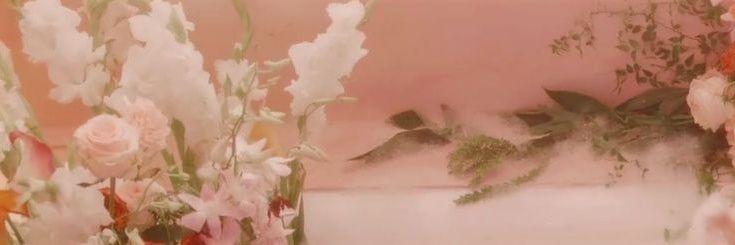 .°•Sho◝•. banner