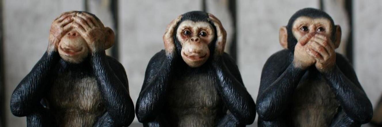 Graeme Hackland 💙 banner