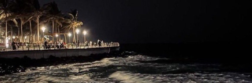 butterfly 🦋✨‏ banner