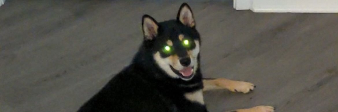rayliottasboy's profile banner image