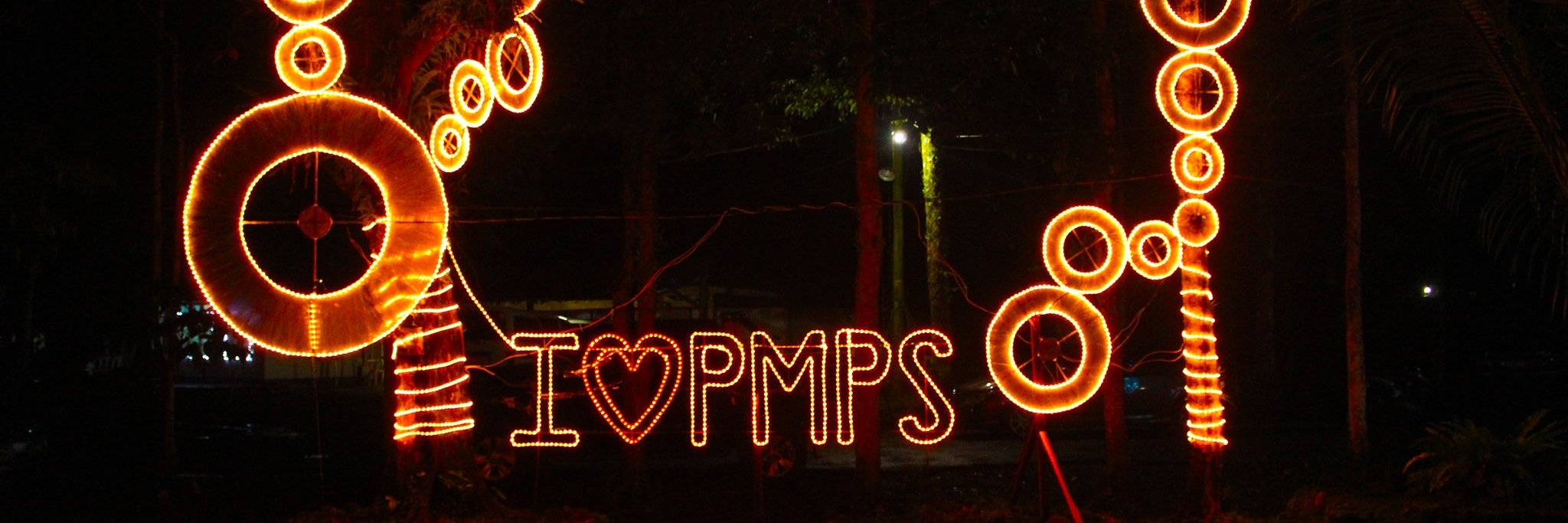 ParacaleMps02's profile banner image