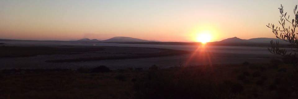 Rosario Carmona banner