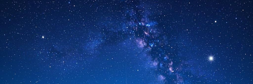 rainforest999 banner