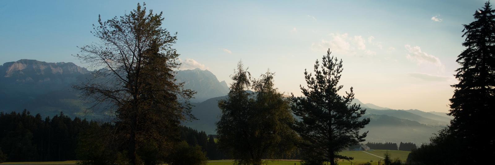 markusmettler's profile banner image