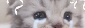 ♡ banner