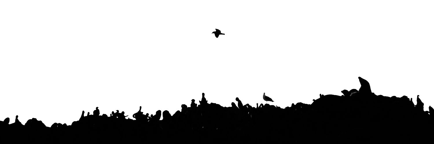 Asanshay Gupta banner