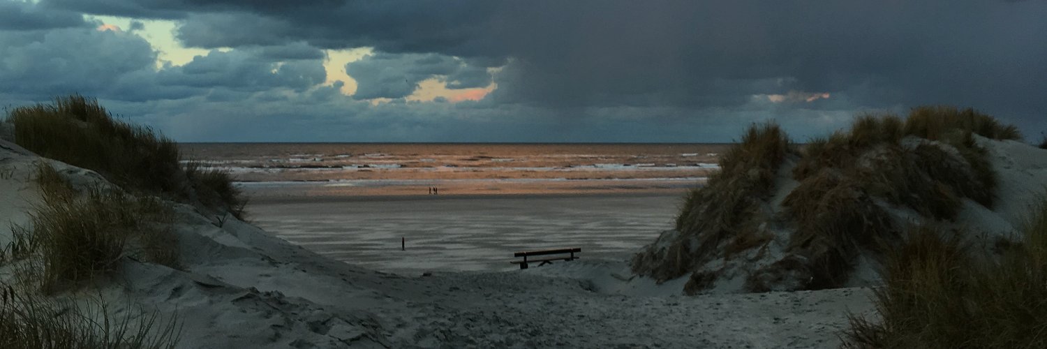 Henk van Steeg banner