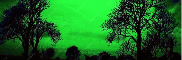 Dae-Hyun Choi banner