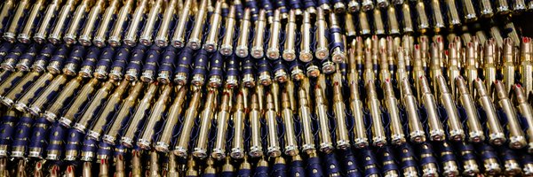 GunaGavrilko Profile Banner