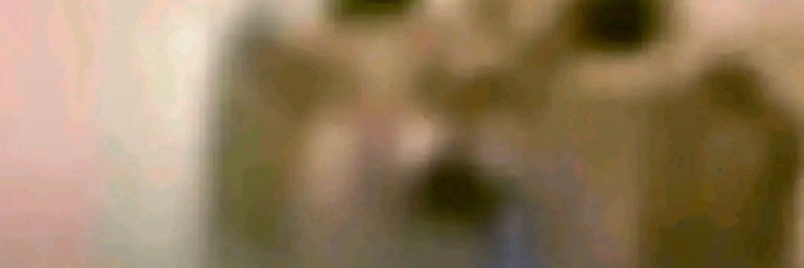 Rafi (◗◖) banner