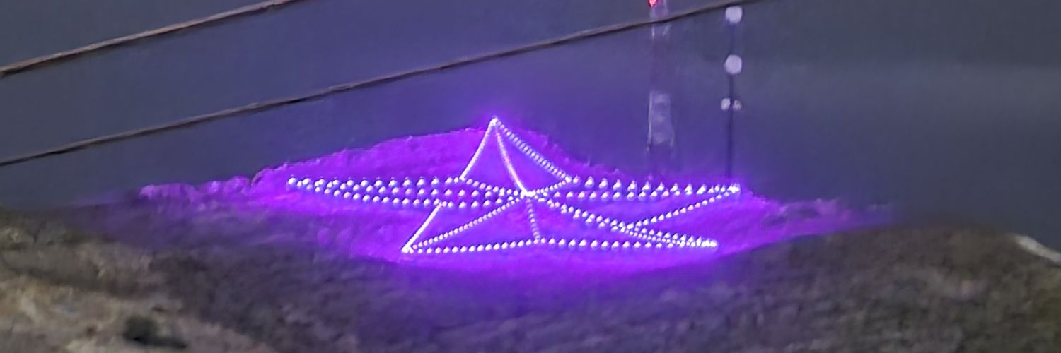 piratequeenzee's profile banner image
