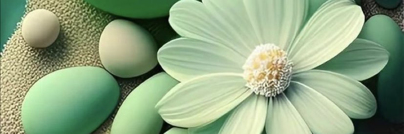 veero_n's profile banner image