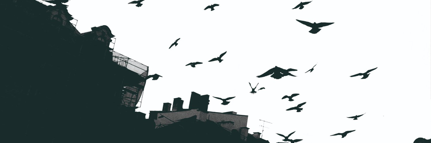 fernandoamancio's profile banner image
