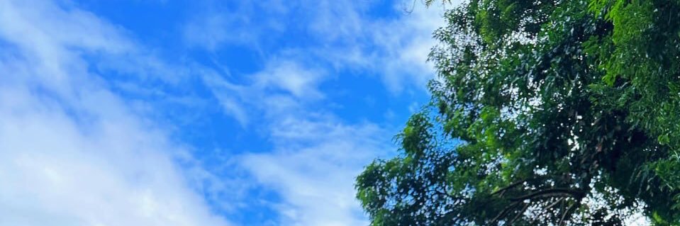 pedamdang27's profile banner image