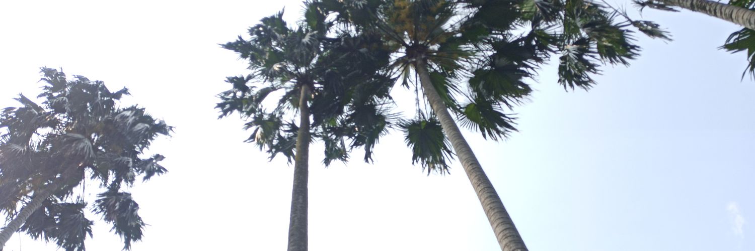 odddo's profile banner image