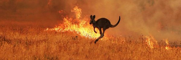 profdmcinnes Profile Banner