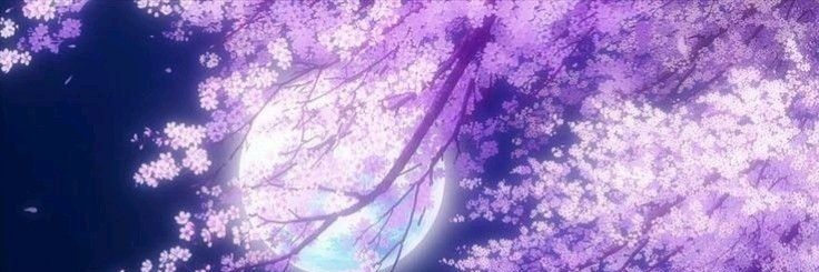 『╴★ˢᵗᵃʳʚ*アシュリー.˙⊹🚬 banner