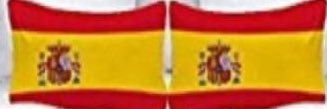 Pedro Llena banner