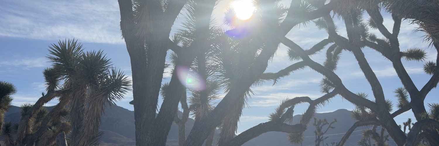 Sammia27's profile banner image