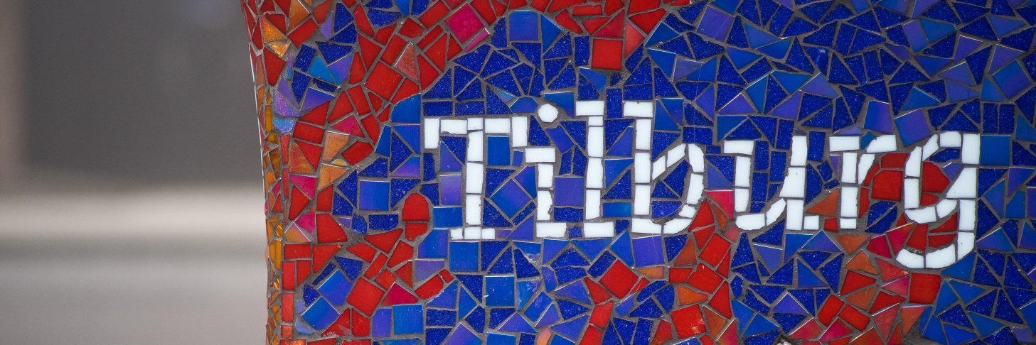 Capibaro's profile banner image