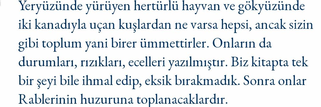 06barisokur's profile banner image